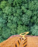 From the Basket *