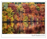 Autumn Colours at Loch Faskally, Pitlochry (2)