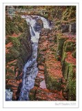 The Hermitage, Dunkeld (3)