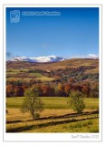 Towards Ben Lawes (1)