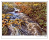 The Birks of Aberfeldy (6)