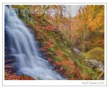 The Birks of Aberfeldy (10)