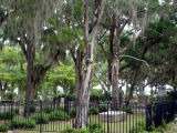 Bonaventure Cemetery (from The Book)