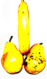 10 - pear or fruit