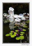 IMG_6322-Persian Pond.jpg