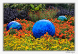 IMG_6357-Niijima Floats.jpg