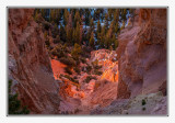 Bryce Canyon-1737.jpg