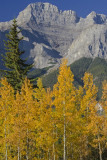 AB Banff Mt Rundle from Trans-Canada Hwy.jpg