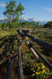 WY Grand Teton NP 60 Buck & Rail Fence.jpg