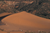 UT Coral Pink Sand Dunes SP.jpg