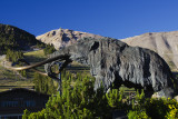 CA Mammoth Lakes 1 Ski Center.jpg