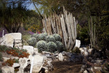 South Coast Botanic Garden