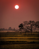 Sunset Near Chitwan National Park