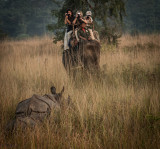 Safari in Chitwan NP
