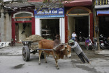 Ninh Binh, hard to drive...