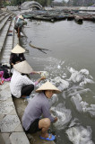 Ninh Binh