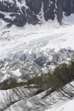 Exit Glacier