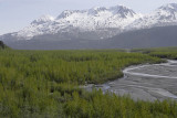 Exit Glacier area