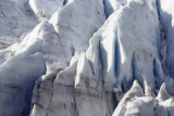 Exit Glacier area