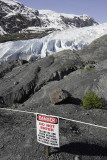 Exit Glacier area