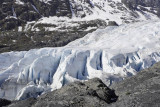 Exit Glacier area