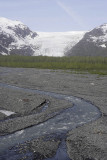 Exit Glacier area