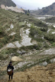 Rice fields around Sapa