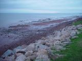HIGH TIDE AT FUNDY BAY