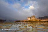 Donan Gold