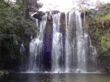 DSC00069.jpg
