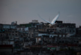 Evening Flight Havana, Cuba - May 2012