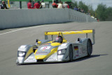 1ST 1-P900 RINALDO CAPELLO...
