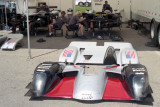P900 PANOZ LMP01