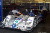 P2-Lowes Fernandez Racing Acura ARX-01 b 