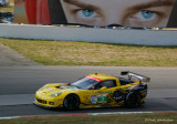 Chevrolet Corvette C6.R ZR1 #005 (Pratt & Miller)