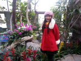 Strawberry Picking & Botanic Garden During CNY 2013-02.JPG