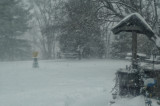 Weather Permitting ....