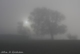 Freezing fog in full colour