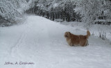 Up to his snowballs
