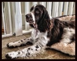 Charlie..