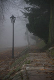 Agrykola street in Lazienki Park in Warsaw disappearing in fog