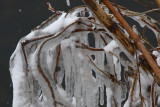 Nature in ice II