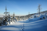 Owl Mountains near Walim Pass