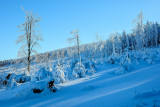 Owl Mountains near Walim Pass