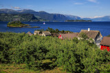 Hardangerfjord near Viky