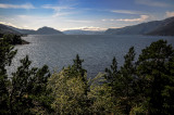 Hardangerfjord near Lote