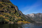 Aurlandsfjorden