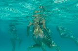 2012 Snorkeling at Blue Lagoon (Malta)