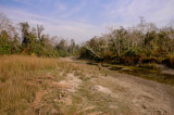 Royal Chitwan NP