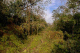 Royal Chitwan NP